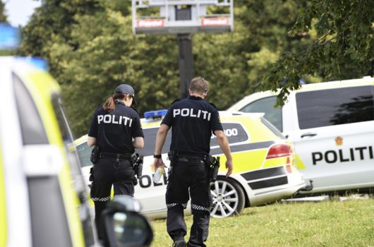 Politisk Programpakke 2021