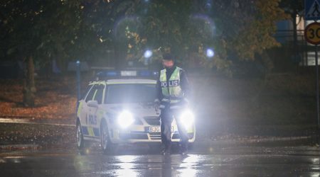Svensk polis (Sverige)