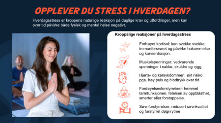 Hverdagsstress